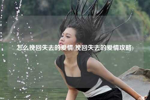 怎么挽回失去的爱情(挽回失去的爱情攻略)