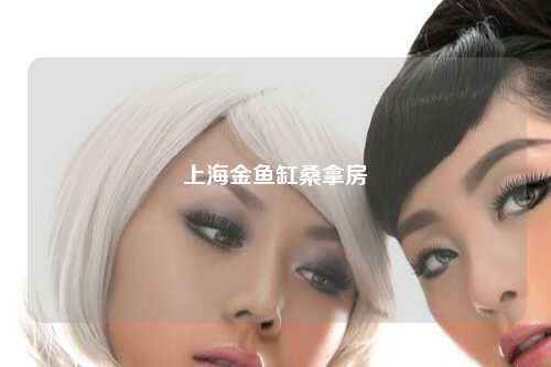 上海金鱼缸桑拿房