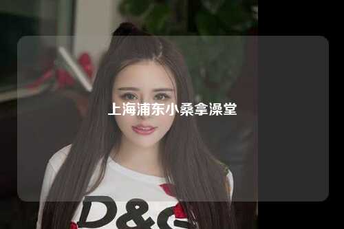 上海浦东小桑拿澡堂