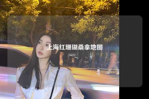 上海红珊瑚桑拿地图
