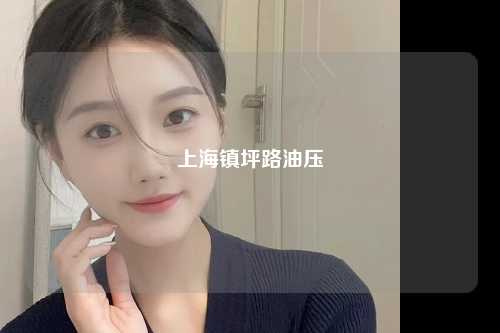 上海镇坪路油压