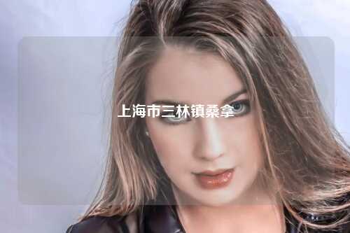 上海市三林镇桑拿