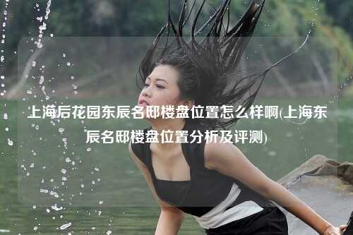 上海后花园东辰名邸楼盘位置怎么样啊(上海东辰名邸楼盘位置分析及评测)