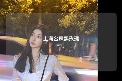 上海名凤黑玫瑰