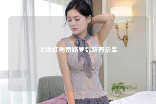 上海红梅南路罗锦路有桑拿