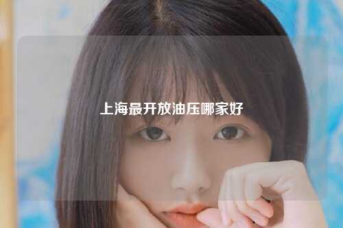 上海最开放油压哪家好