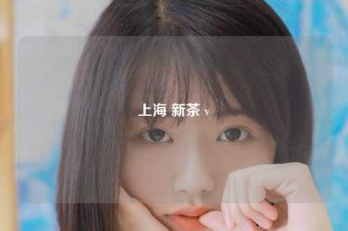 上海 新茶 v