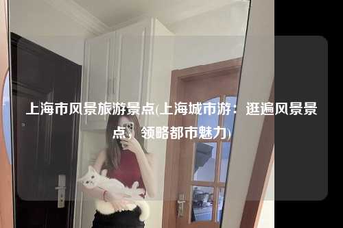 上海市风景旅游景点(上海城市游：逛遍风景景点，领略都市魅力)