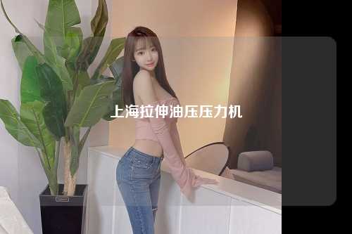 上海拉伸油压压力机