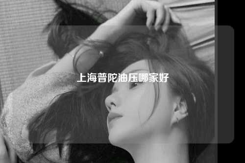 上海普陀油压哪家好