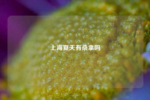 上海夏天有桑拿吗