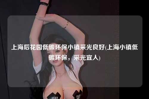 上海后花园低碳环保小镇采光良好(上海小镇低碳环保，采光宜人)
